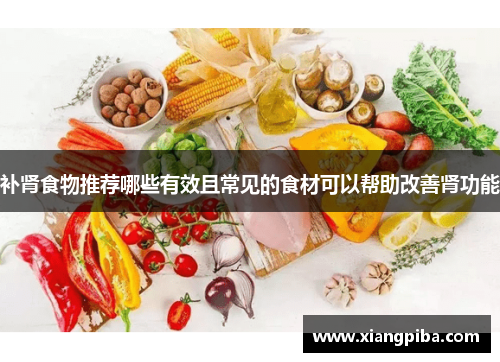 补肾食物推荐哪些有效且常见的食材可以帮助改善肾功能