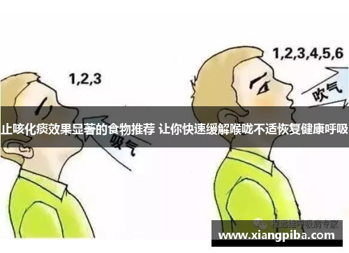 止咳化痰效果显著的食物推荐 让你快速缓解喉咙不适恢复健康呼吸