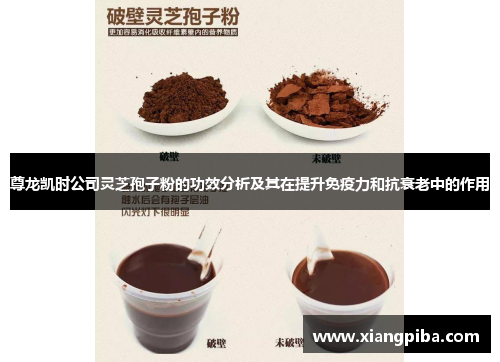 尊龙凯时公司灵芝孢子粉的功效分析及其在提升免疫力和抗衰老中的作用
