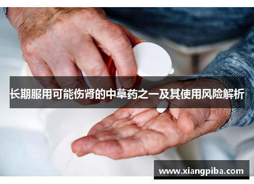 长期服用可能伤肾的中草药之一及其使用风险解析